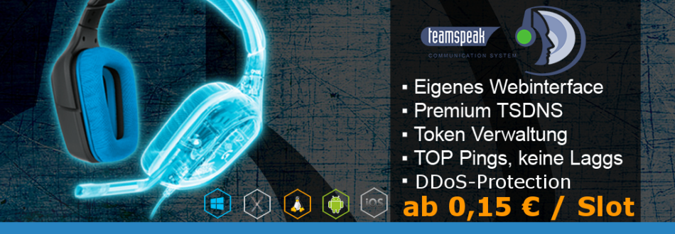 TS3 Server mieten